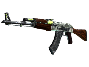AK-47 | Гидропоника (Закалённое в боях)