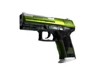 P2000 | Дерн (Немного поношенное)
