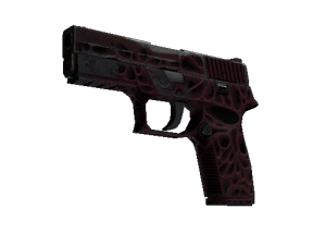 P250 | Загрязнитель (Поношенное)