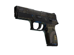 P250 | Обменник (Закалённое в боях)