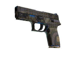 P250 | Обменник (После полевых испытаний)