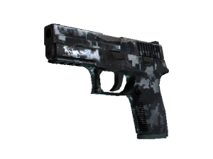 P250 | Ржавая сталь (После полевых испытаний)