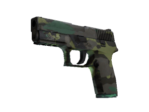 P250 | Северный лес (После полевых испытаний)
