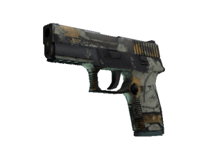 P250 | Современный охотник (Закалённое в боях)