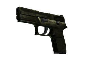 StatTrak™ P250 | Железное покрытие (Закалённое в боях)