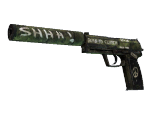 USP-S | Взгляд в прошлое (Поношенное)