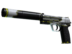USP-S | Закрученный (Поношенное)